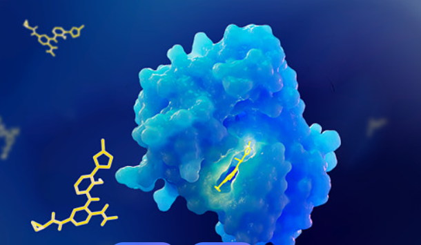 默沙东据悉洽购抗癌药开发商Revolution Medicines